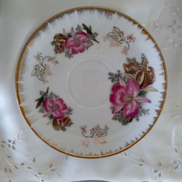 Cattleya Orchid Tea Cup Ready for Spring - Picture 8 of 8